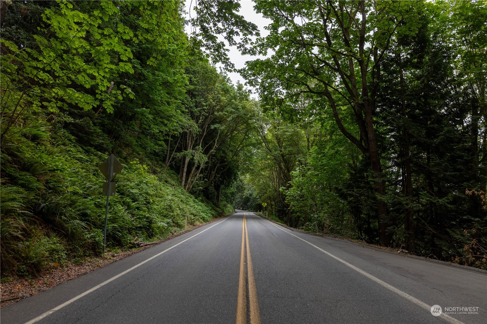 2190 Chuckanut Drive Bow, WA 98232 - Photo 25 of 29 a view of a forest from a window