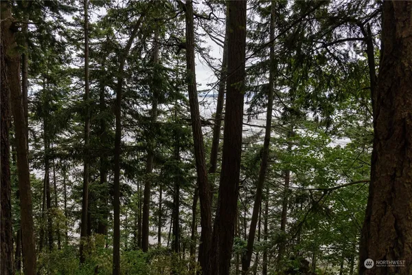 $375,000 | 2190 Chuckanut Drive, Bow, WA 98232