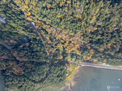 a view of a yard with plants