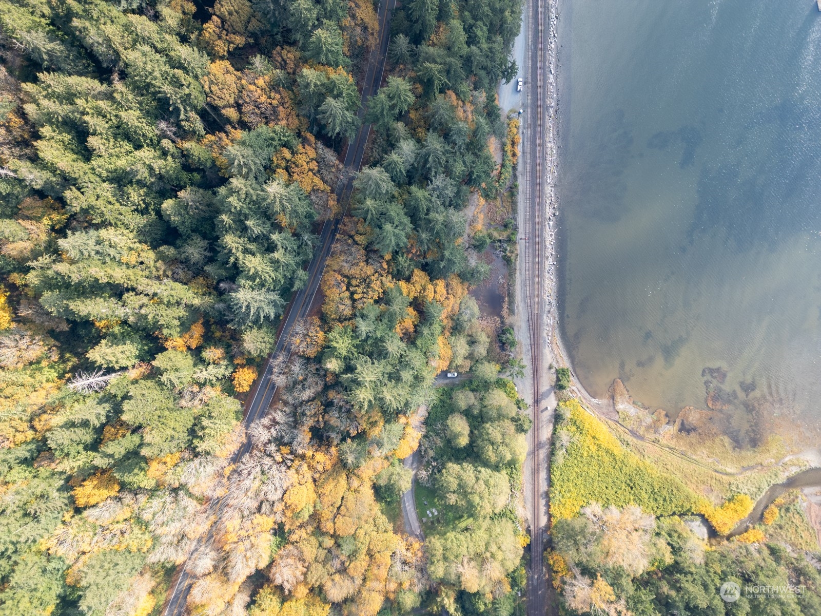 2190 Chuckanut Drive Bow, WA 98232 - Photo 7 of 29 a close up of a plant in a window