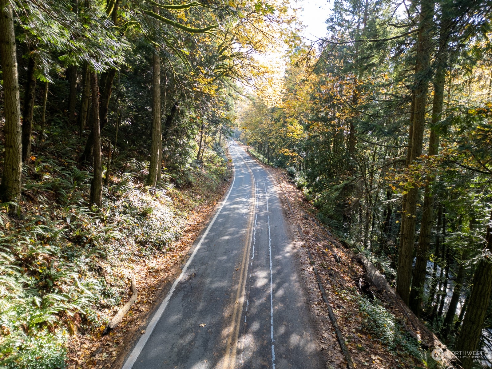 2190 Chuckanut Drive Bow, WA 98232 - Photo 8 of 29 a view of a pathway both side of yard