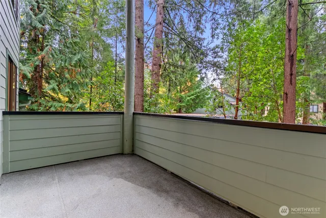 a view of a garden from a window