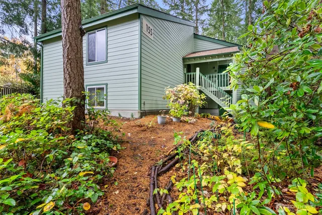 a view of a pathway with plants and large trees