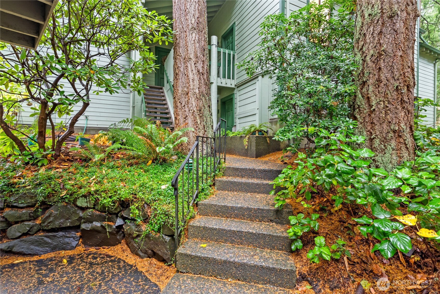 155 South 330th Street, Unit D Federal Way, WA 98003 - Photo 34 of 35 a view of a pathway with plants and large trees