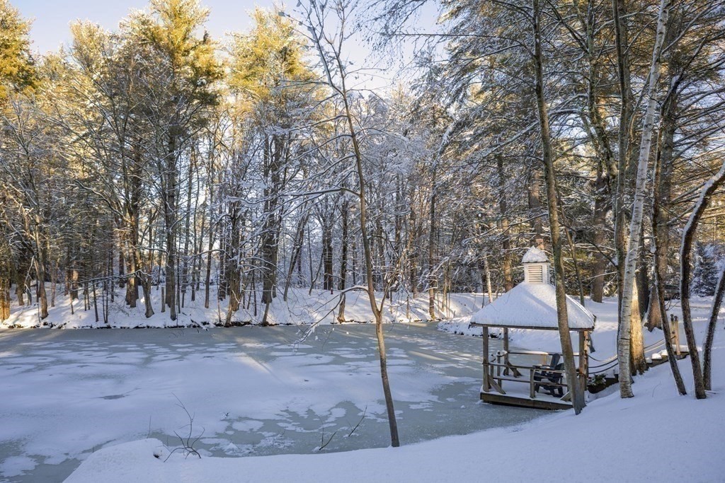 316 Lindsay Pond Road Concord, MA 01742 - Photo 41 of 42