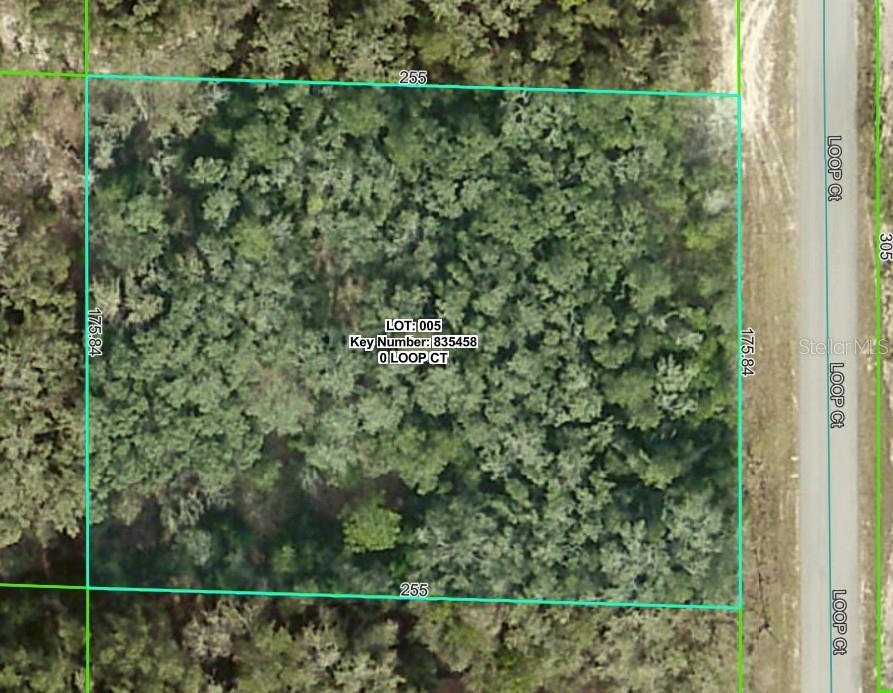 0 Loop Court Webster, FL 33597 - Photo 1 of 1