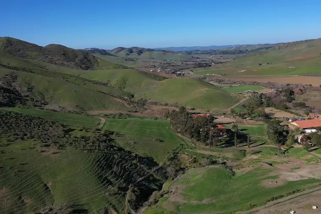 a view of backyard with garden