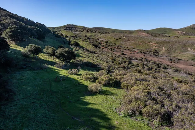 a view of a large body of water and mountain