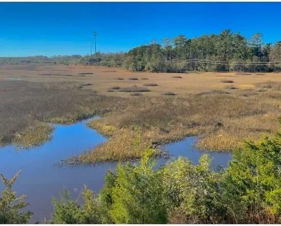 $2,950 | 603 McLernon Trace, Johns Island, SC 29455