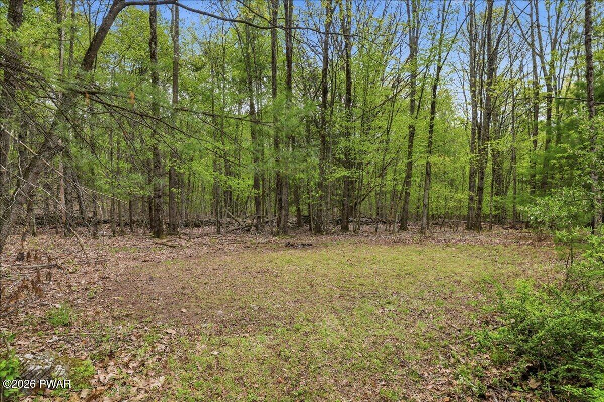 103 Forever Green Road Lakeville, PA 18438 - Photo 31 of 179