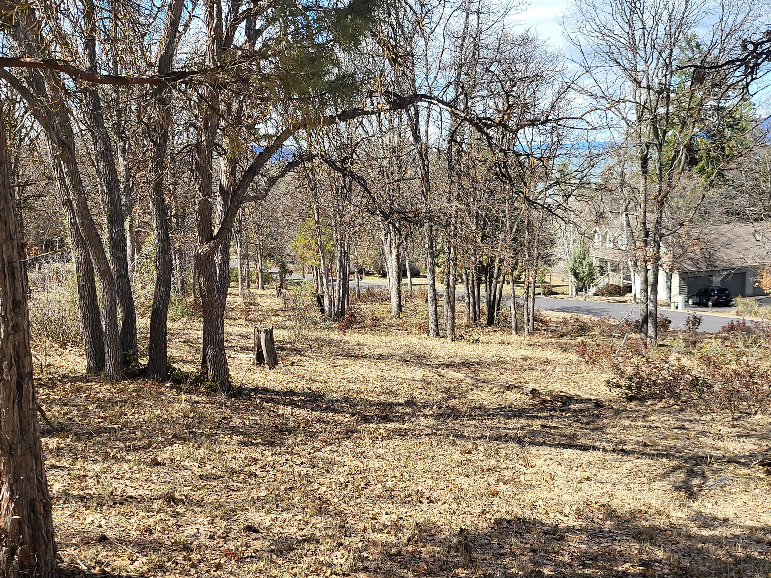 Lot 853 Cooper's Hawk Road Klamath Falls, OR 97601 - Photo 2 of 4 20230416_151312