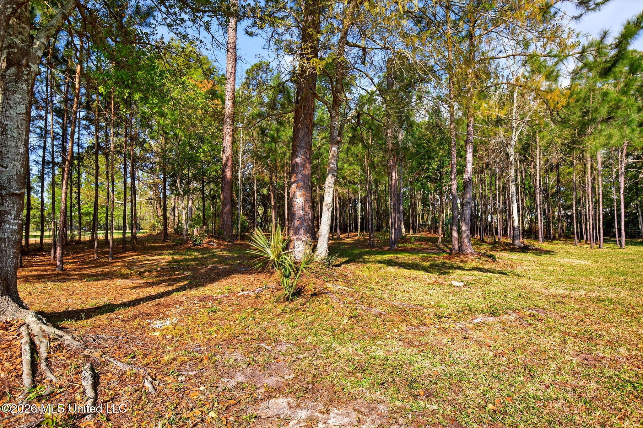 301 Prentiss Road Pass Christian, MS 39571 - Photo 45 of 56 54-web-or-mls-301 Prentiss Rd-54