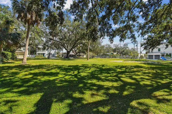 a view of a park with large trees