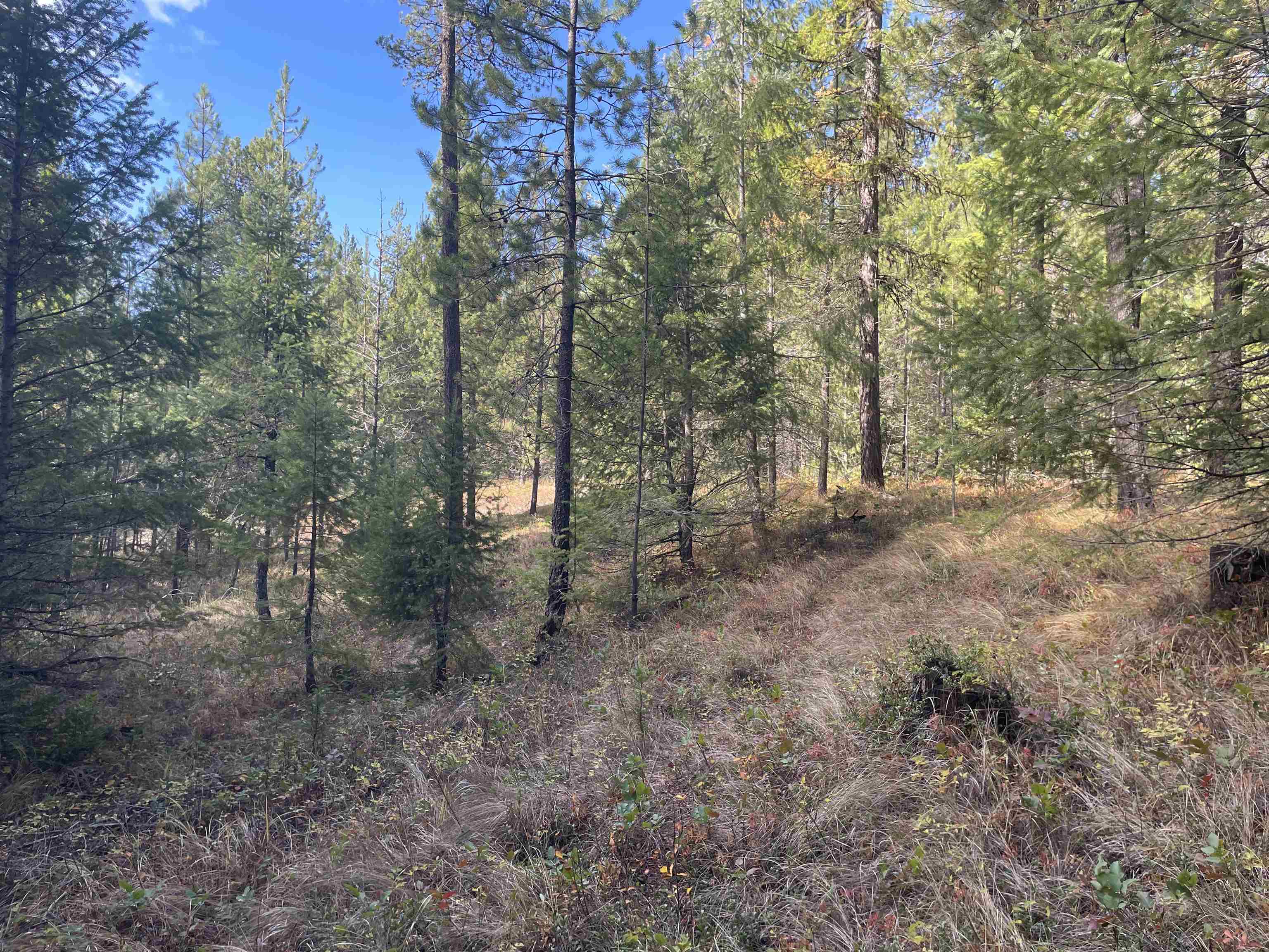 1792 Coyote Trail Newport, WA 99156 - Photo 24 of 25