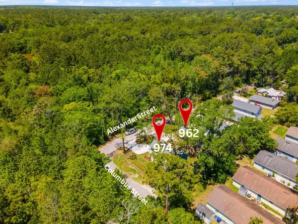 a view of a city with lush green forest
