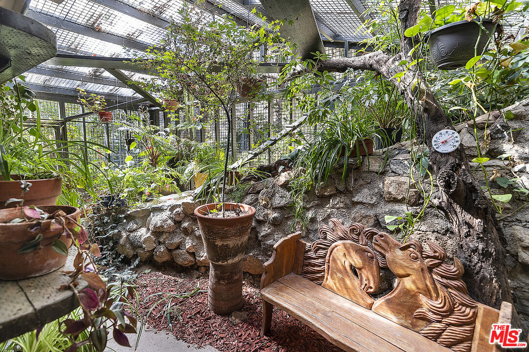 14831 Little Tujunga Canyon Road Sylmar, CA 91342 - Photo 41 of 49 a view of a backyard with plants and chair