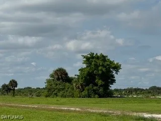 a view of a golf course with a garden