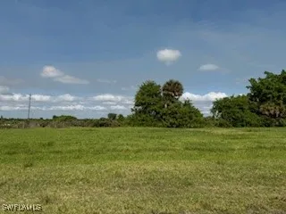 a view of a big yard of grass and an tree
