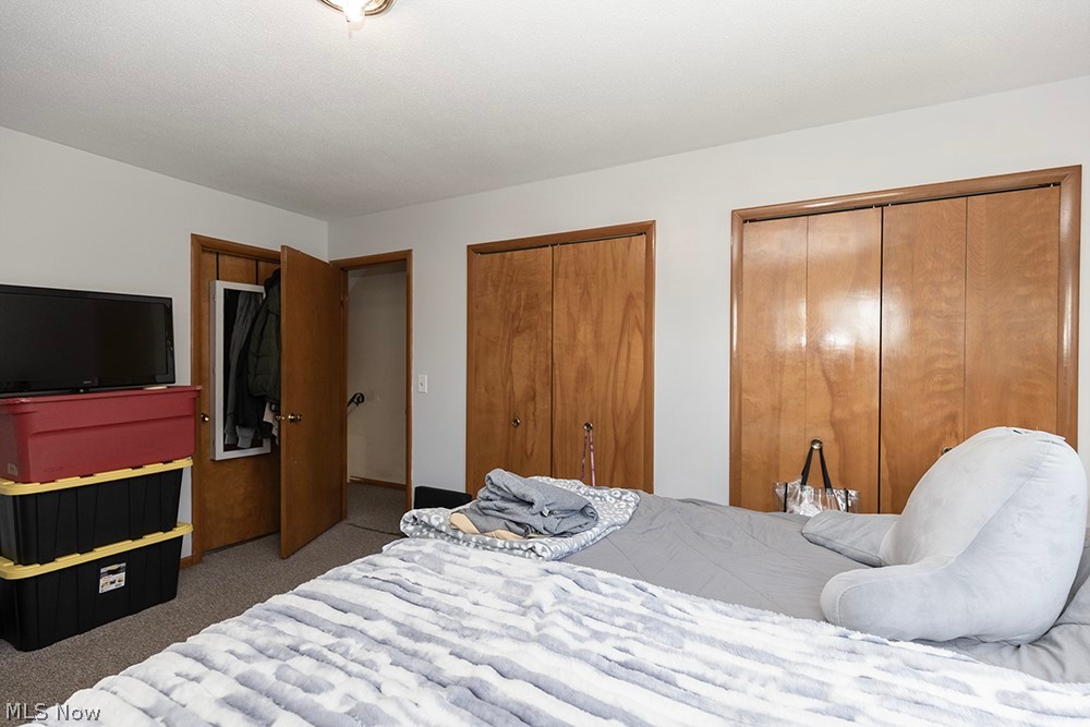 762 Abbe Road North Elyria, OH 44035 - Photo 29 of 30 Bedroom featuring two bi-fold closets with wood-finish doors, a single hinged door, and carpet flooring