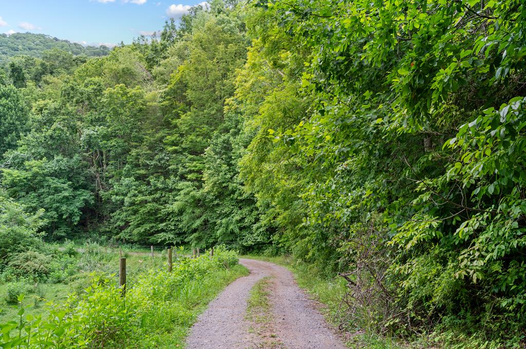 Lot G Springdale Road, Unit G Pearisburg, VA 24134 - Photo 18 of 62 Gallery Image 18
