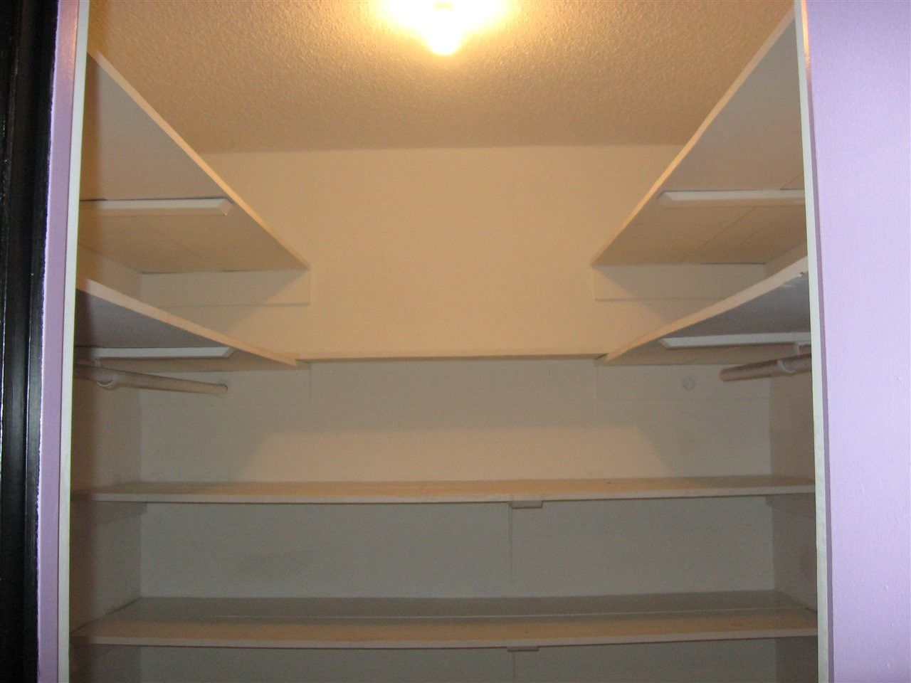 7044 Buffalo Road Selma, NC 27576 - Photo 15 of 21 walk in closet