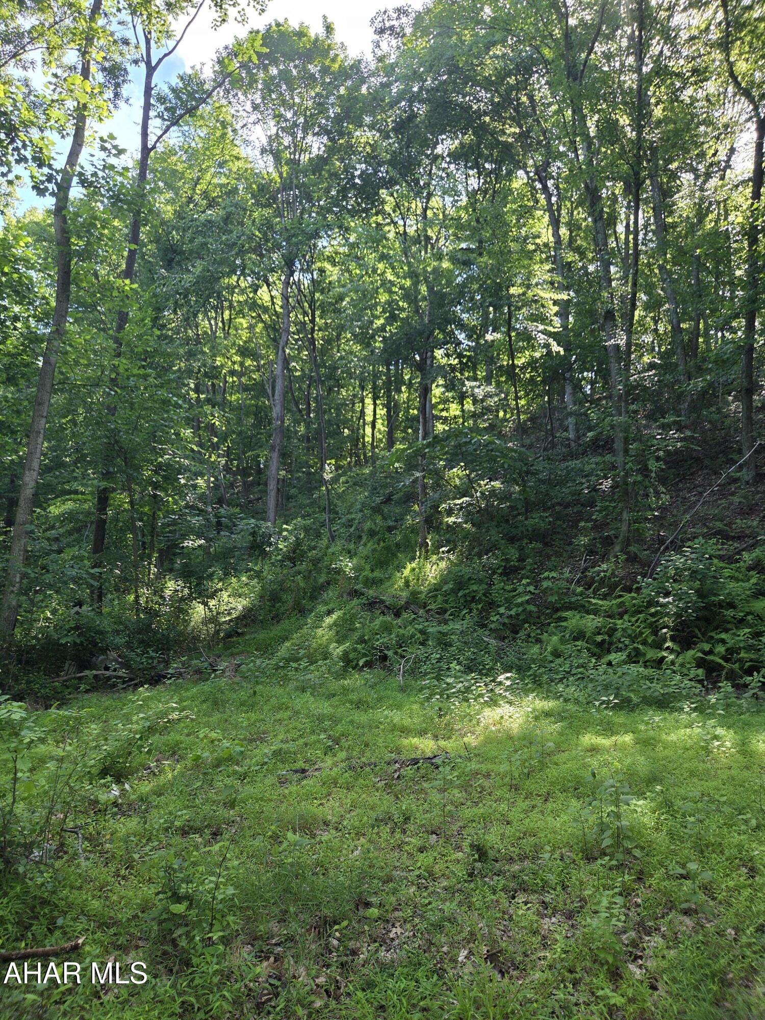 0 Sugar Ridge Road McVeytown, PA 17051 - Photo 11 of 19