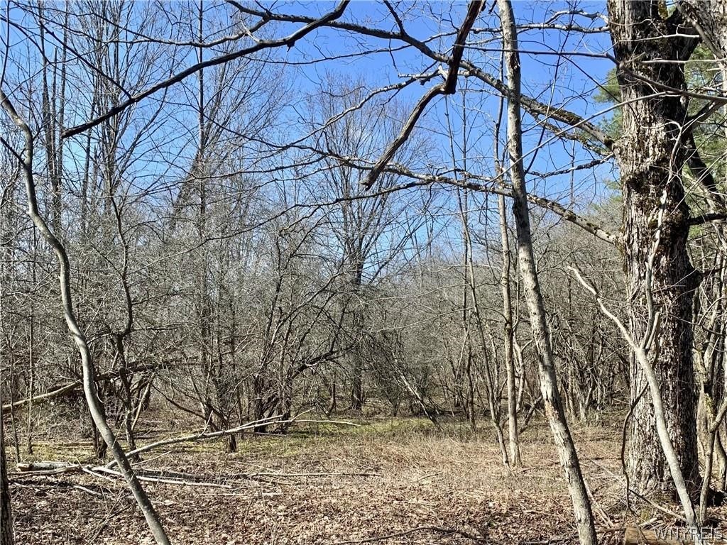 6320 Stinson Road Arcade, NY 14009 - Photo 3 of 3