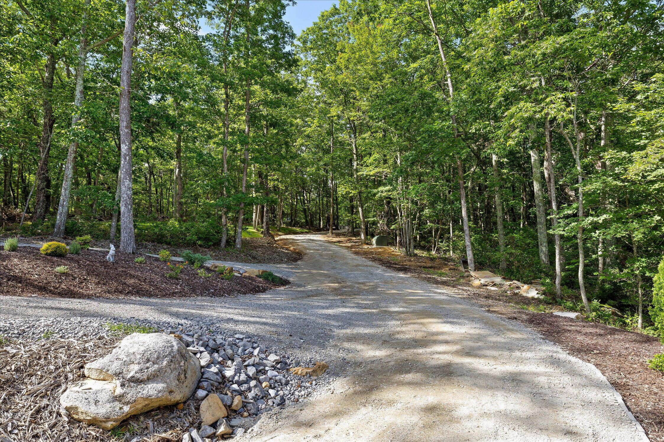 1641 Sunset Drive Rising Fawn, GA 30738 - Photo 16 of 103 047-1641 Sunset Dr-93