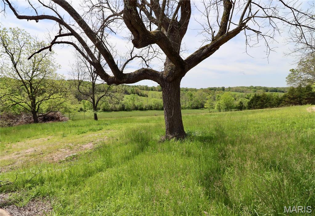 4354 Odell Road Grovespring, MO 65662 - Photo 2 of 16