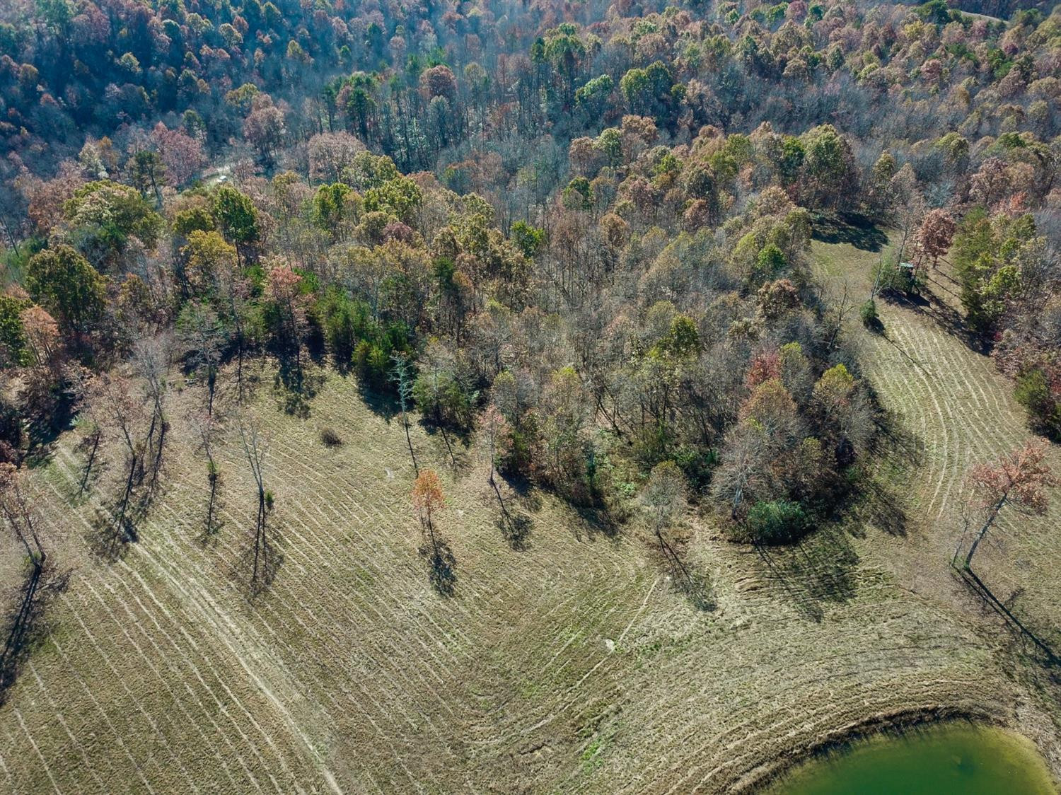 999 Red Davidson Road McKee, KY 40447 - Photo 15 of 45 Photo 15