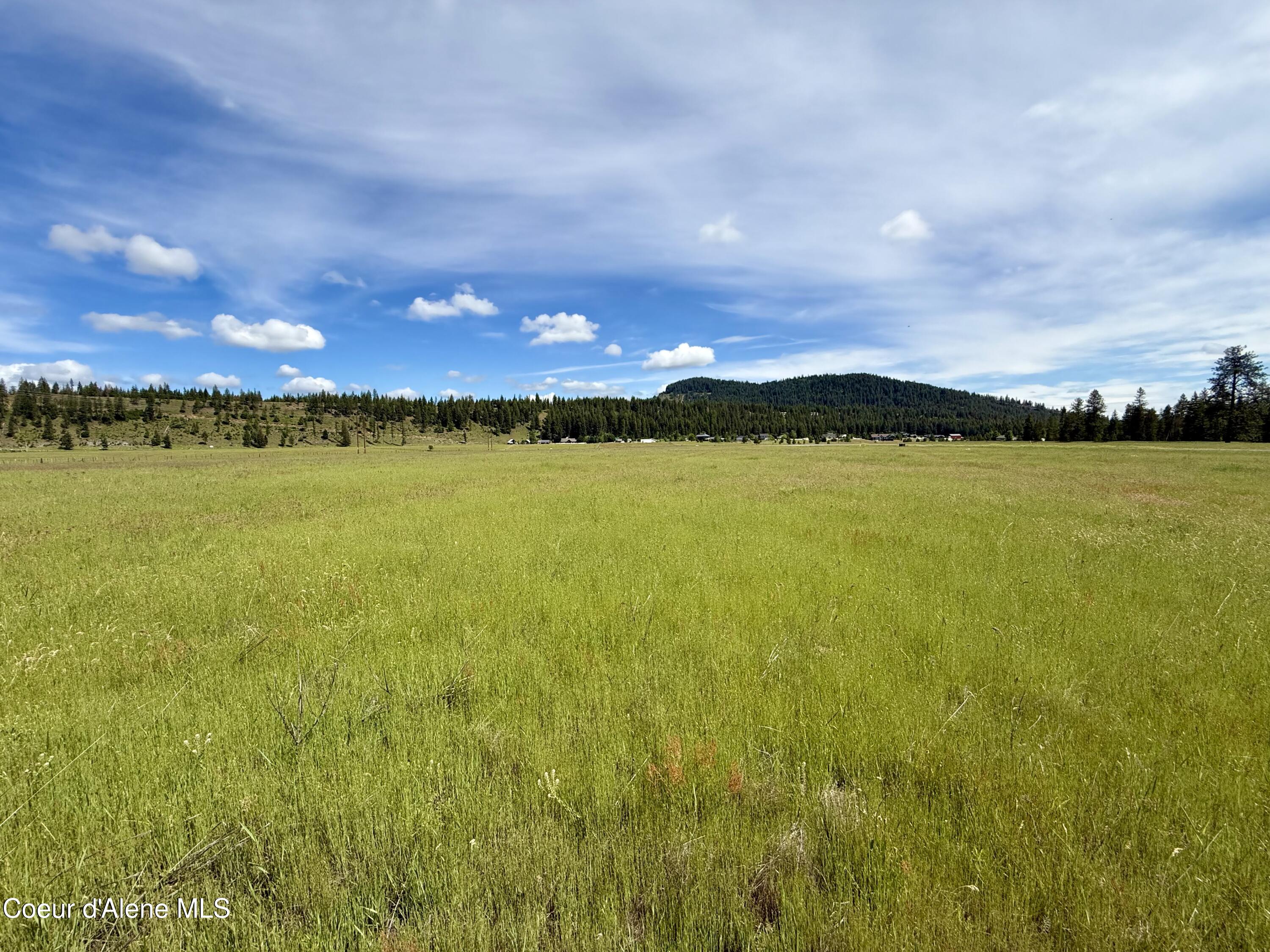 Lot 4 North Stonemason Way Rathdrum, ID 83858 - Photo 4 of 7 5 acreas of usable land.
