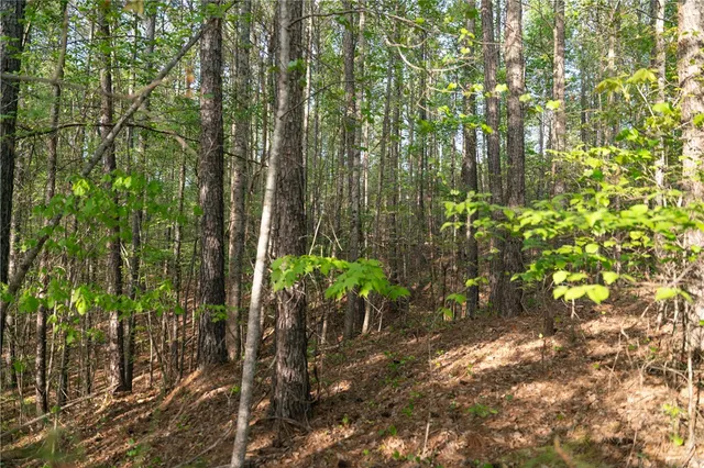 $99,000 | Lot E-19 Lot E-19 Golden Bear Drive, Sunset, SC 29685