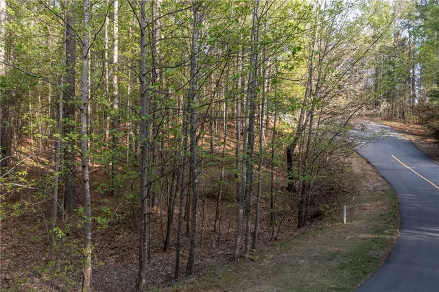 $99,000 | Lot E-19 Lot E-19 Golden Bear Drive, Sunset, SC 29685