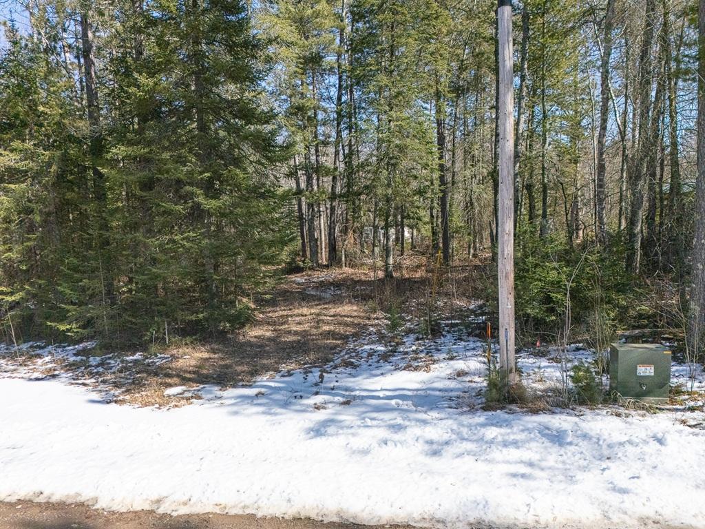 290 South Lake Lawrence Road Northeast Outing, MN 56662 - Photo 1 of 1 Gallery Image 1