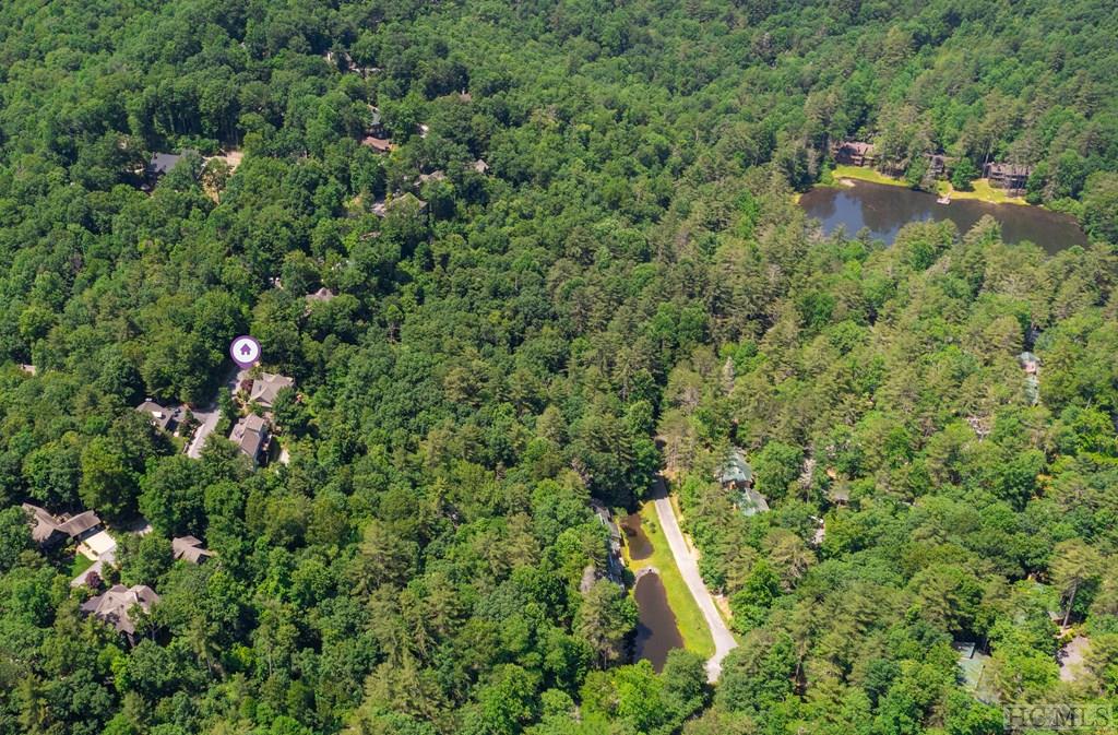 260 Deer Run Road Sapphire, NC 28774 - Photo 43 of 51 Gallery Image 43