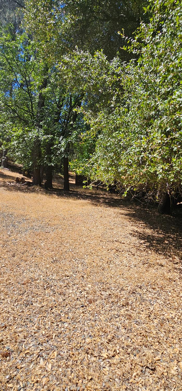 7040 Idlewild Road Somerset, CA 95684 - Photo 11 of 18 a view of backyard with wooden fence