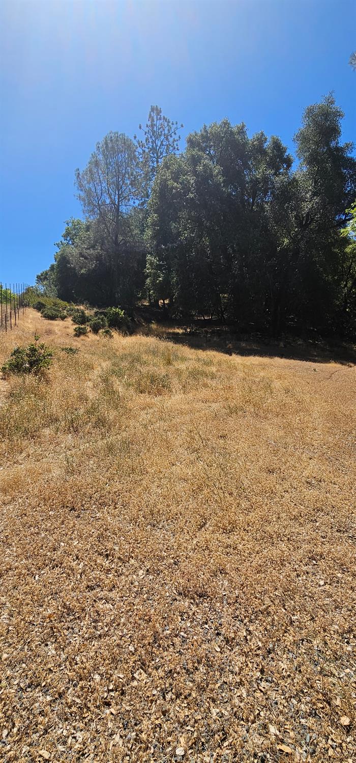 7040 Idlewild Road Somerset, CA 95684 - Photo 13 of 18 a view of lake view and mountain view