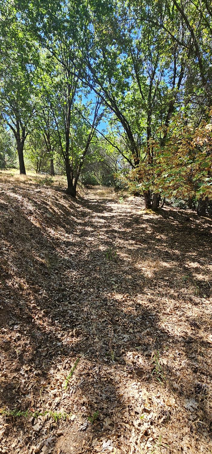 7040 Idlewild Road Somerset, CA 95684 - Photo 15 of 18 a view of road view with yard