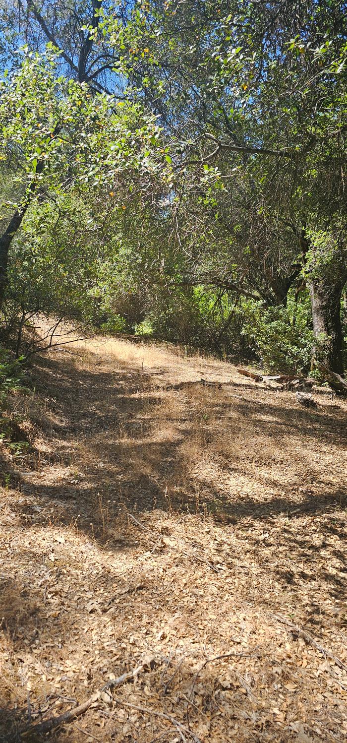 7040 Idlewild Road Somerset, CA 95684 - Photo 17 of 18 a view of a ocean view