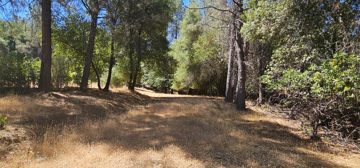7040 Idlewild Road Somerset, CA 95684 - Photo 2 of 18 a view of outdoor space with trees
