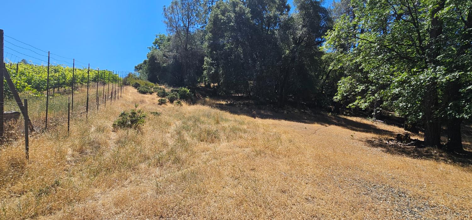 7040 Idlewild Road Somerset, CA 95684 - Photo 3 of 18 a view of backyard of a house