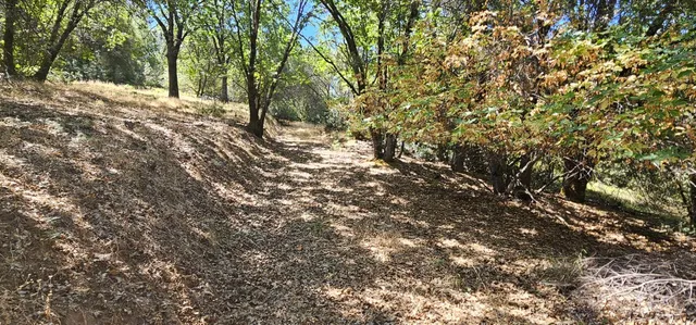 a view of outdoor space and yard