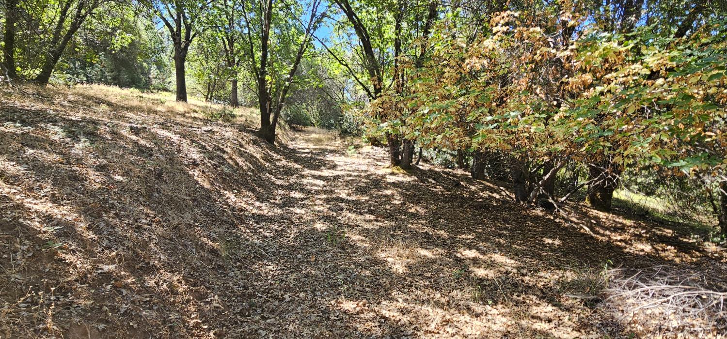 7040 Idlewild Road Somerset, CA 95684 - Photo 5 of 18 a view of outdoor space and yard