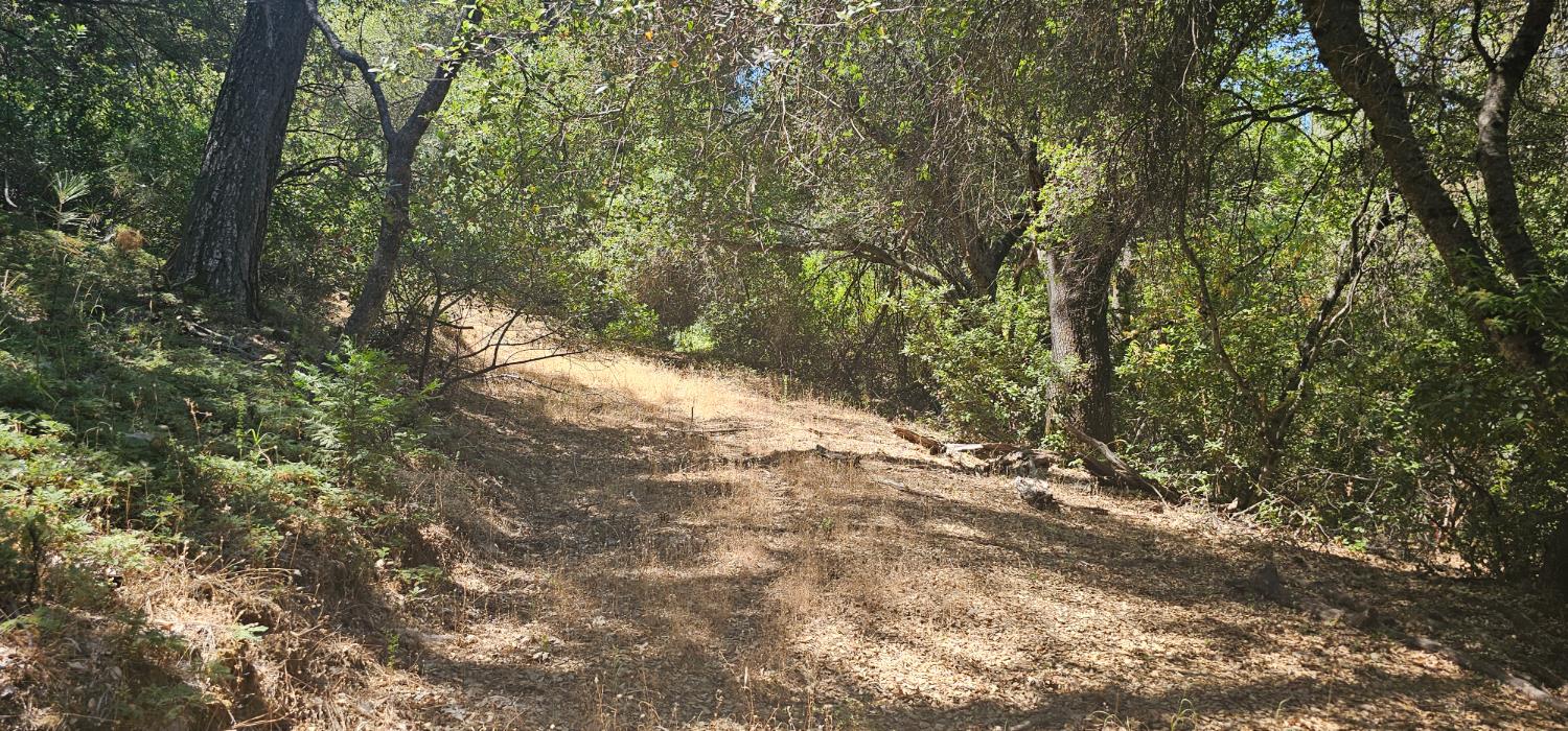 7040 Idlewild Road Somerset, CA 95684 - Photo 7 of 18 a view of mountain view with lots of trees