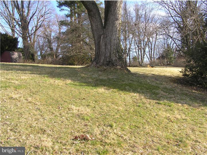 616 Pinetree Road Abington, PA 19046 - Photo 6 of 22 Back Yard