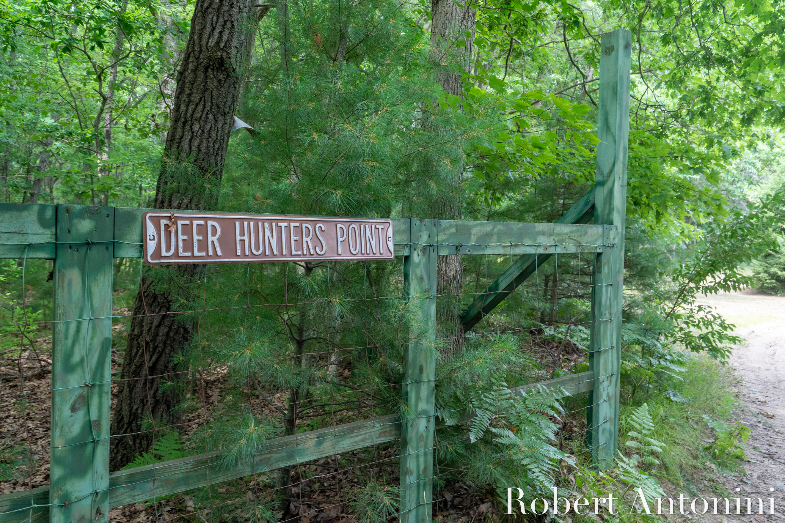 4751 Johnson Road Gowen, MI 49326 - Photo 11 of 146 Let's GO!