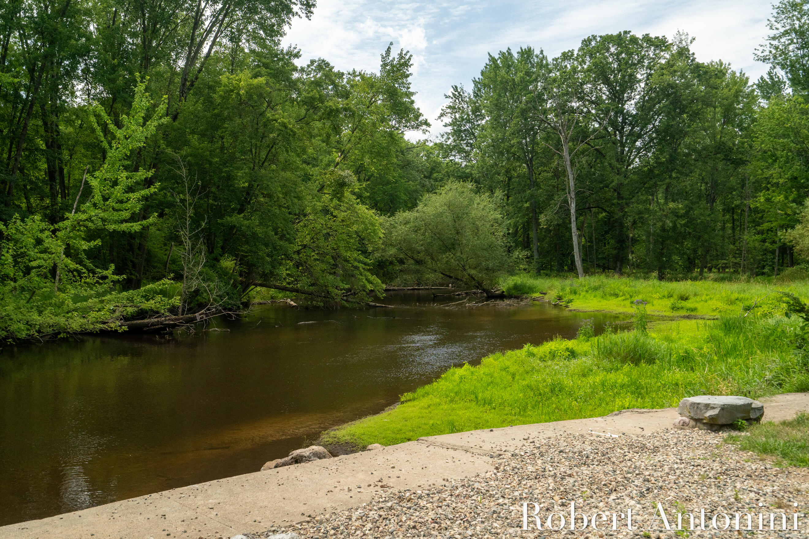 4751 Johnson Road Gowen, MI 49326 - Photo 119 of 146 Private River Frontage