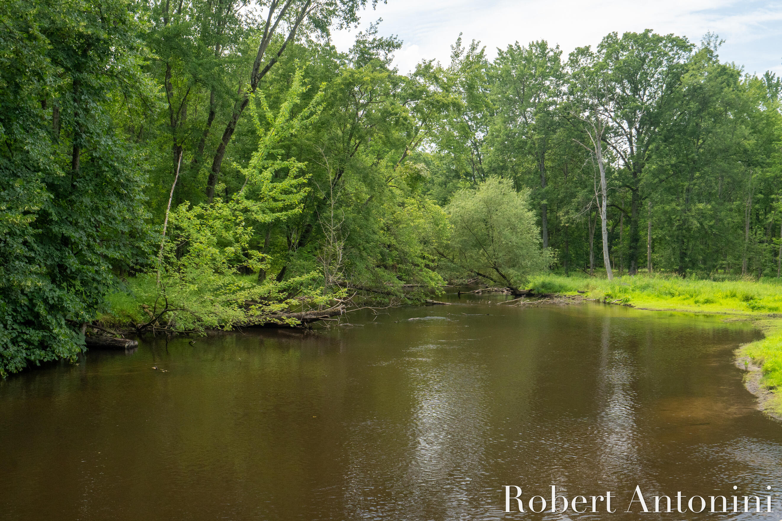 4751 Johnson Road Gowen, MI 49326 - Photo 123 of 146 Flat River
