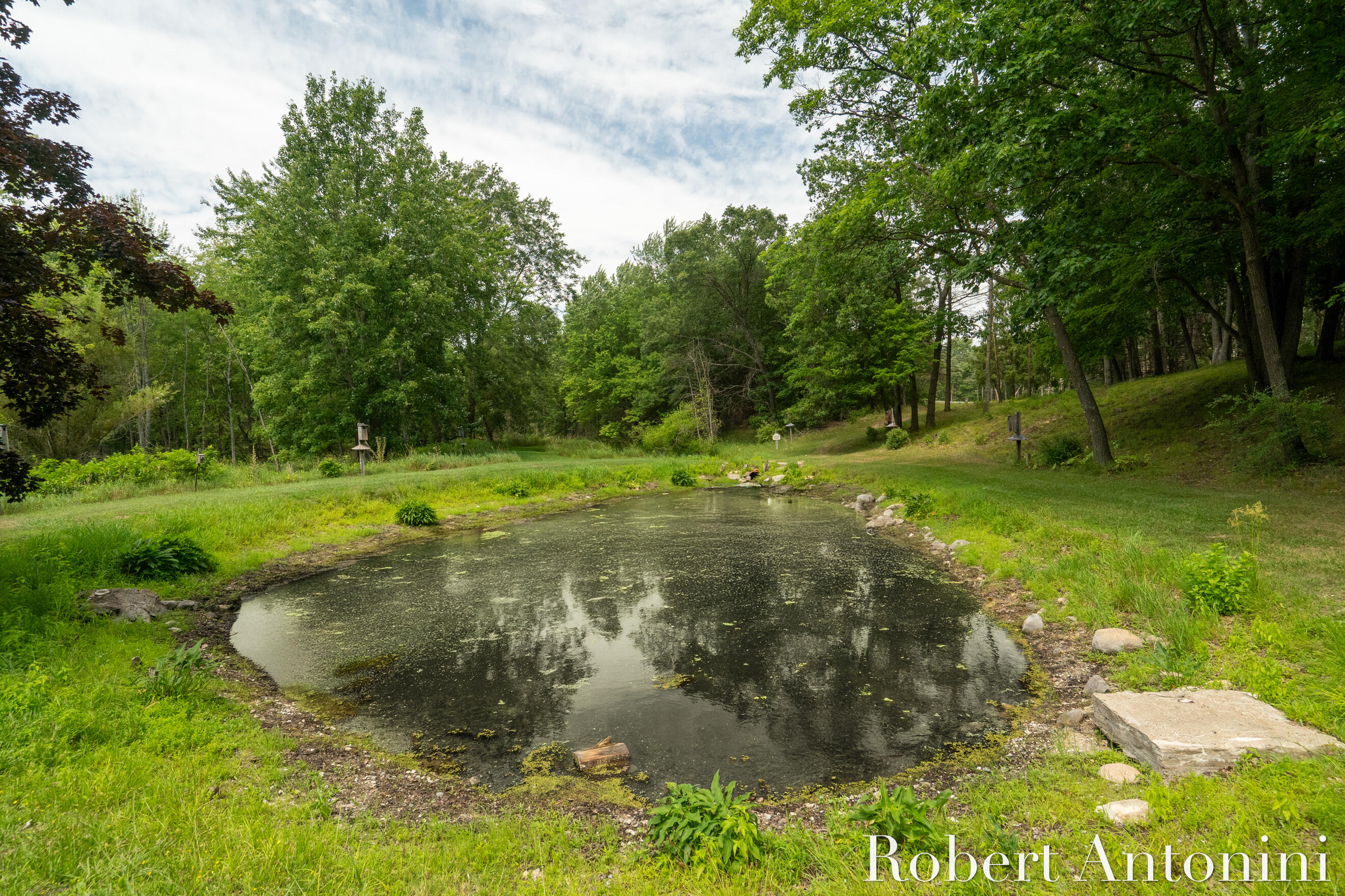 4751 Johnson Road Gowen, MI 49326 - Photo 125 of 146 1 of 7 Ponds