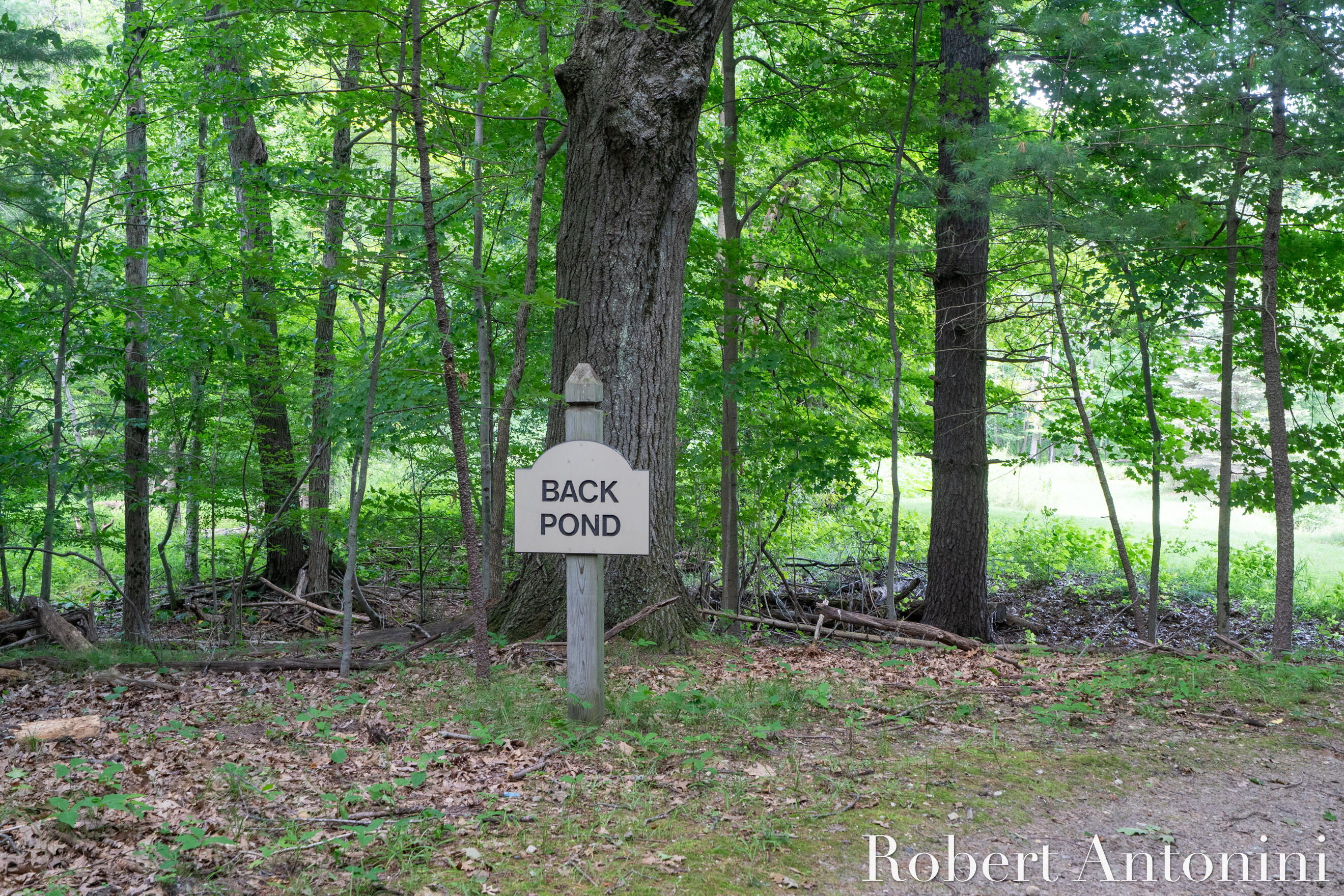 4751 Johnson Road Gowen, MI 49326 - Photo 126 of 146 Back Pond